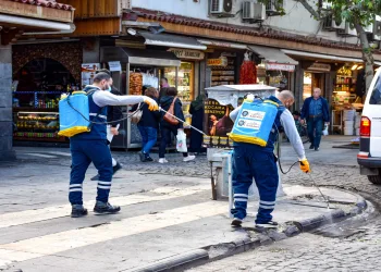 Haşerelere karşı ilaçlama çalışmaları sürüyor