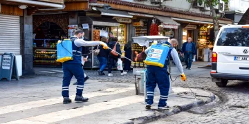 Haşerelere karşı ilaçlama çalışmaları sürüyor