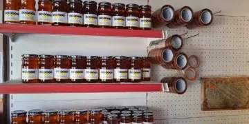 Üreticiler tağşiş ballardan şikayetçi