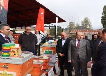 Arı yetiştiriciliği projesi