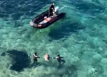 Ölü olarak bulunan caretta, dalgıçlar tarafından karaya çıkarıldı