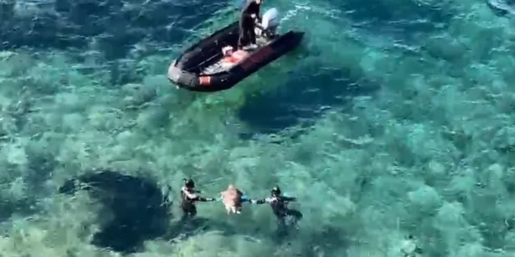 Ölü olarak bulunan caretta, dalgıçlar tarafından karaya çıkarıldı
