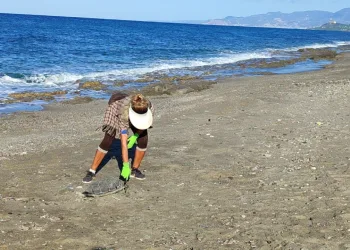 Son bir haftada iki tane daha caretta caretta