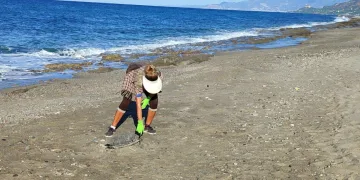 Son bir haftada iki tane daha caretta caretta