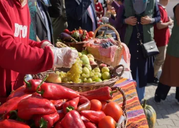 Önce öğrendiler, şimdi satıyorlar