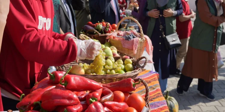 Önce öğrendiler, şimdi satıyorlar