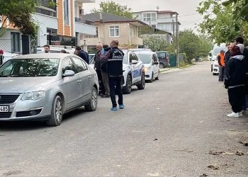 Edirne’de çiftlik yangını: Tavuklar ve arılar telef oldu