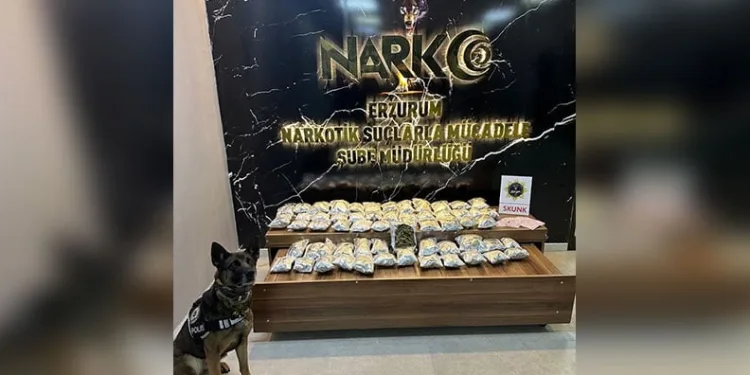 Çanakkale’de narkotik operasyonu: Gözaltındaki 5 şüphelinin emniyetteki işlemleri sürüyor