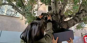 “Fetullah Gülen Amerikan ajanıydı”