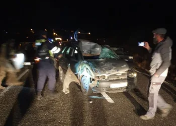 İstanbul’da sahte pasaport şebekesi çökertildi: 13 gözaltı