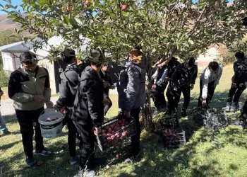 Söke’de Yenilikçi İncir Ürünleri Geliştirme Projesi tanıtım etkinliği
