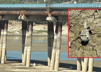 Adana’da gölde el bombası bulundu