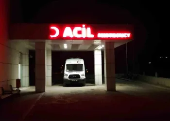 Uyuşturucu tacirleri ‘Mia’nın burnuna takıldı