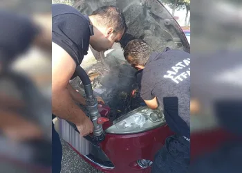 Iğdır’da terör operasyonu: DEM Parti İl Başkanı gözaltına alındı