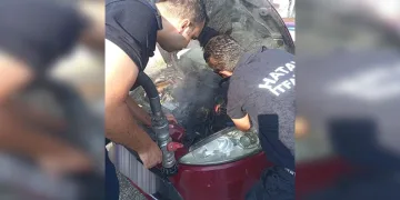 Iğdır’da terör operasyonu: DEM Parti İl Başkanı gözaltına alındı
