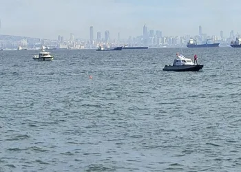 Tır refüje düştü, patatesler yola saçıldı: 1 yaralı