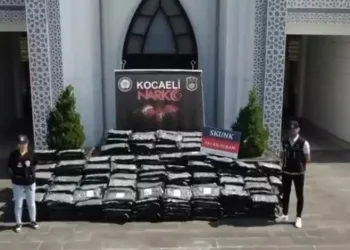 Uyuşturucu operasyonunda tırda 345 kilo skunk ele geçirildi