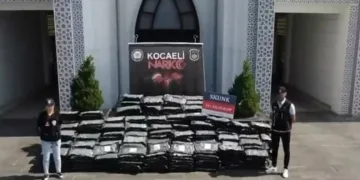 Uyuşturucu operasyonunda tırda 345 kilo skunk ele geçirildi