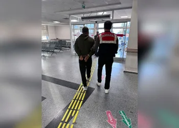 Edirne’de çiftlik yangını: Tavuklar ve arılar telef oldu