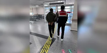 Edirne’de çiftlik yangını: Tavuklar ve arılar telef oldu