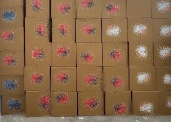 Bingöl’de jandarma ekipler suçlulara göz açtırmıyor