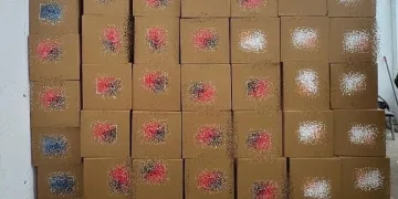 Bingöl’de jandarma ekipler suçlulara göz açtırmıyor