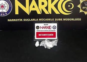 Edirne’de çiftlik yangını: Tavuklar ve arılar telef oldu