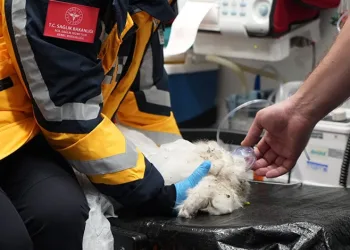 Bursa’da palet fabrikasında yangın