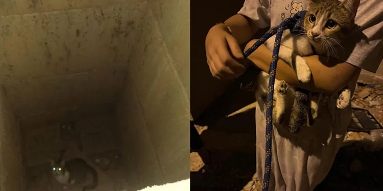 Yayladağı’nda örtü yangını