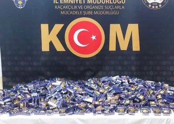 Pasinler’de deprem korkuttu