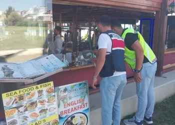 Terör örgütü propagandası yapan şüpheli yakalandı