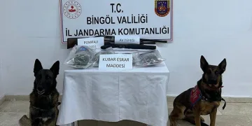 Mersin Bozyazı’da orman yangını büyümeden söndürüldü