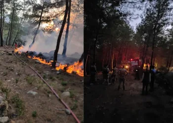 Yayladağı’nda örtü yangını
