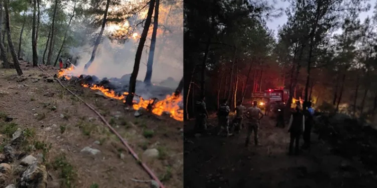 Yayladağı’nda örtü yangını