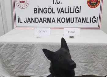 Bingöl’de jandarma ekipler suçlulara göz açtırmıyor