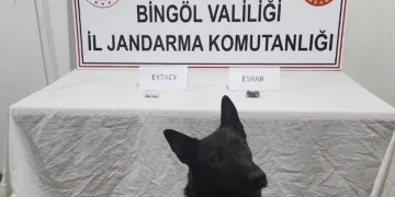 Bingöl’de jandarma ekipler suçlulara göz açtırmıyor
