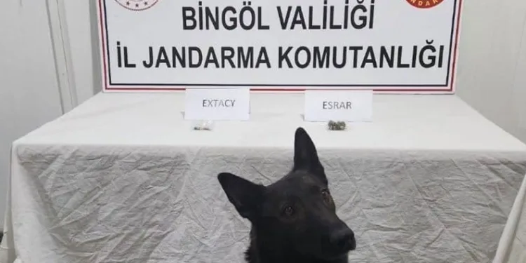 Bingöl’de jandarma ekipler suçlulara göz açtırmıyor