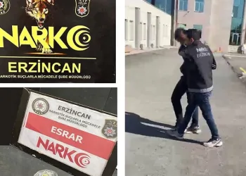 Edirne’de çiftlik yangını: Tavuklar ve arılar telef oldu