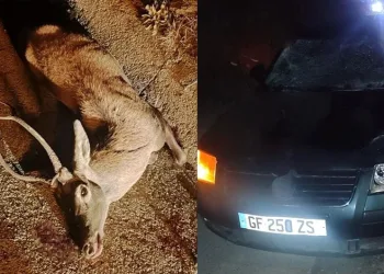 Deniz personeli olma hayali suya düştü, 30 bin lira dolandırıldı