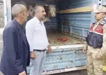 Parkta bıçaklı kavga, yaralanan iki kişi hastaneye kaldırıldı