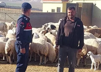 Bingöl’de jandarma ekipler suçlulara göz açtırmıyor