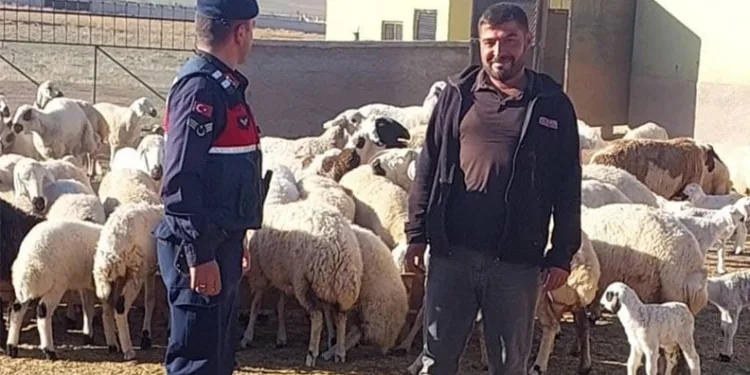 Bingöl’de jandarma ekipler suçlulara göz açtırmıyor