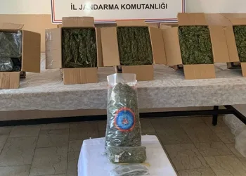Uyuşturucu operasyonunda tırda 345 kilo skunk ele geçirildi