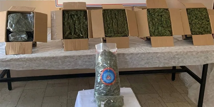 Uyuşturucu operasyonunda tırda 345 kilo skunk ele geçirildi