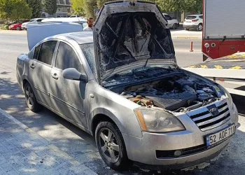 ABD’yi vuran Helene Kasırgası’nda can kaybı 214’e yükseldi