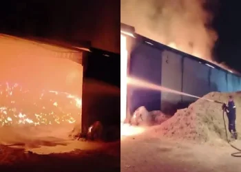 Samsun’da 371 sentetik ecza ele geçirildi