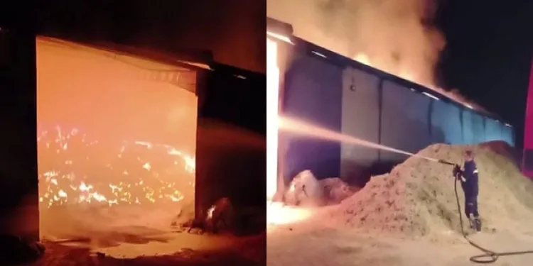 Samsun’da 371 sentetik ecza ele geçirildi