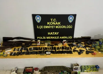 Yayladağı’nda örtü yangını