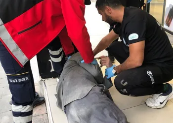 İstanbul’da sahte pasaport şebekesi çökertildi: 13 gözaltı