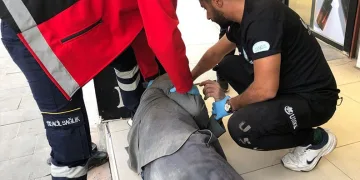 İstanbul’da sahte pasaport şebekesi çökertildi: 13 gözaltı